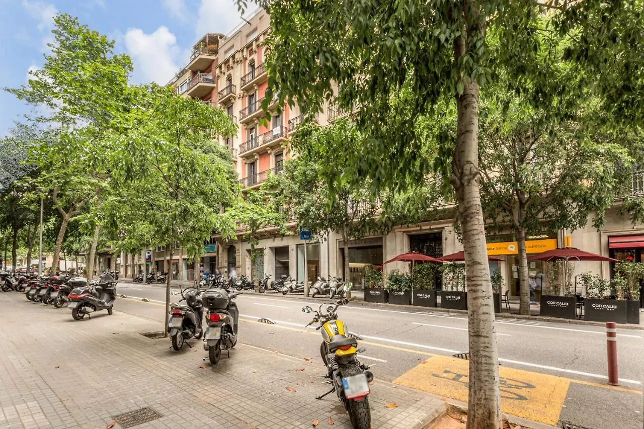 3Br - 2Bh Luxury Apartment 5 Min From Paseo De Gracia Barcelona 0*,  Spain